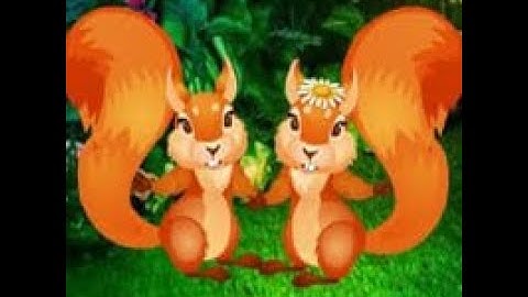 love squirrel forest escape video walkthrough