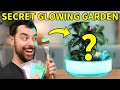 Making a SECRET Glow-in-the-Dark Garden