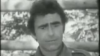 Rod Serling Biography - Day Of A Playwright (1985)