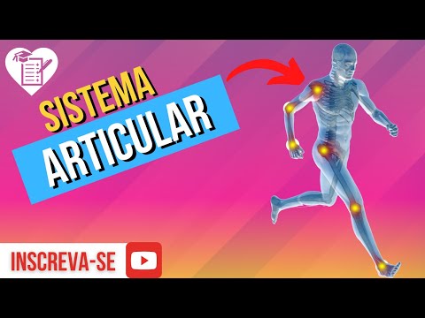 hqdefault - Sistema articular