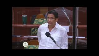 Senate Vote Divided, but Senator Coye Calls for Belizean Unity