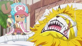 One piece: Chopper shot Nekomamushi Englishsub