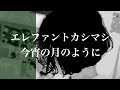 エレファントカシマシ - 今宵の月のように【弾き語り】