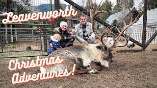 Leavenworth Christmas Markets &amp; Reindeer Farm!