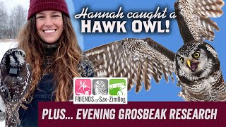 Sax-Zim Bog: Hawk Owls, Evening Grosbeaks, Hoary Redpoll: Virtually Live 35 S3E10