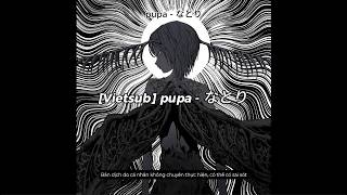 【VIETSUB】pupa - なとり natori (kan/rom/vie)