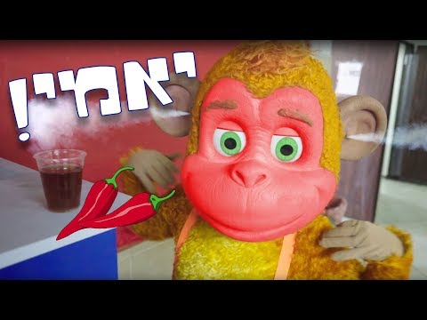 קופיקו היוטיובר על הסט של קופיקו 