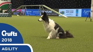 Agility  Crufts Team  Small Final Part 2 | Crufts 2018