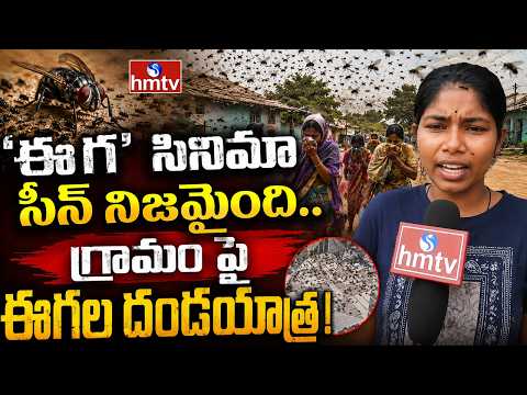 'ఈగ' సినిమా సీన్ నిజమైంది.. గ్రామం పై ఈగల దండయాత్ర! | Flies Attacked in Srikakulam District | hmtv - HMTVNEWS