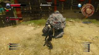 The Witcher 3 Blood and Wine - The Beast of Toussaint: Geralt Fights Shaelmaar Arena Gameplay PS4
