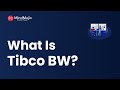 What is tibco bw  creating sample project  file activities  tibco tutorial session 1  mindmajix