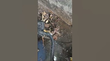 Testing the condensation device of compressor tank#maintenance #automation #engineering #mechanics