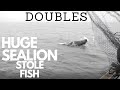 SEA LION Up Close STOLE Our FISH | We Had DOUBLES | Epic Salmon Fishing