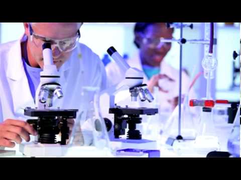 Video: Kinetische Stoffwechselmodelle Von Pseudomonas Putida KT2440 In Großem Maßstab Zur Konsistenten Entwicklung Von Strategien Für Das Metabolische Engineering