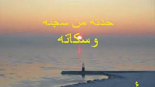 كل وعد وعدته ليا كل حلم حلمنا بيه لسه فاكره يا حبيبى لسه فاكره مش ناسيه (هاني شاكر)