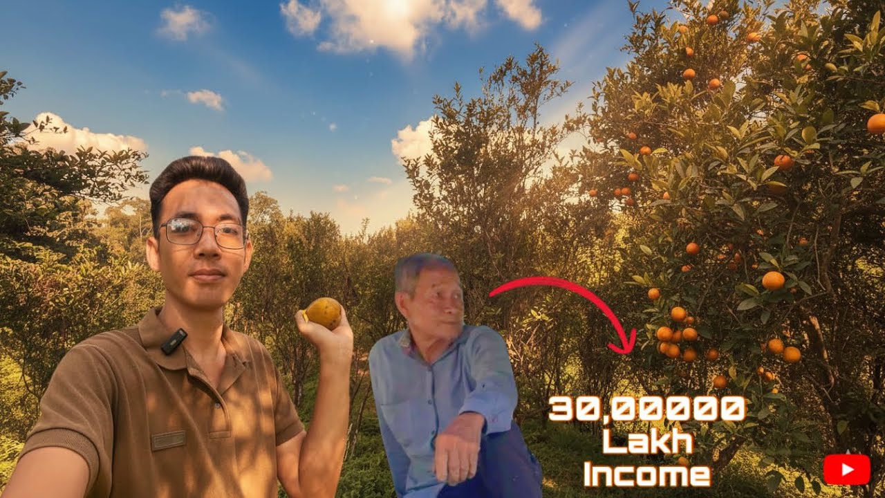 KOMLA BAGAN🍊JAMPUIJALA | BEAUTIFUL HIDDEN PLACE ORANGE GARDEN TRIPURA-vlog3