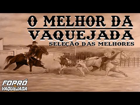 O MELHOR DA VAQUEJADA - SELEÇÃO DAS MELHORES 2023