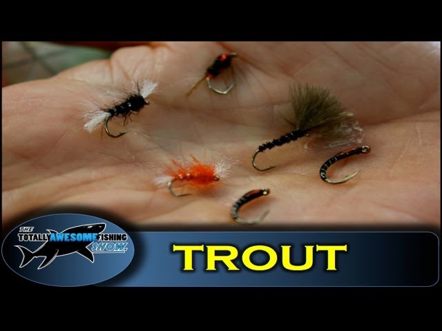 How to catch Reservoir Trout on Buzzers - The Totally Awesome