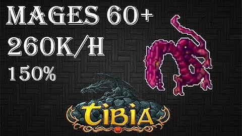 Tibia | Wyrms Vandura Mountain (Second Floor) | Mages 60+ | 260k/h (150%)