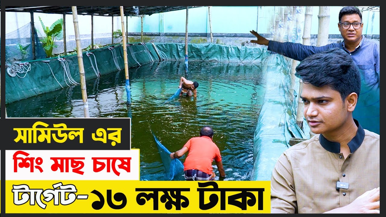 সামিউল ভাইয়ের বায়োফ্লক পদ্ধতিতে মাছ চাষে সিরাজগঞ্জ জেলায় সাড়া ফেলেছে