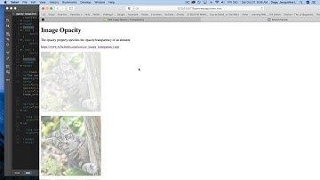 Dreamweaver CC 2020: Setting image opacity and hover set