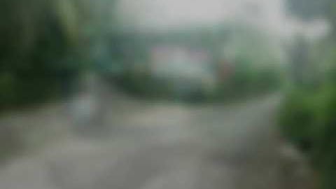 Lễ hội trái cây tân lộc album gđ