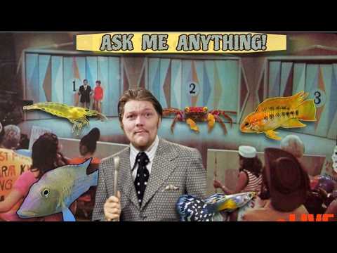 ASK AWAY FRIDAY!  BRING ME STORIES, BRING ME QUESTIONS - Fishtory - LIVE!