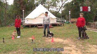 Eric Ko煉狗特訓營 教狗主正確餵食 培養人狗關係 【煉狗術師S2 EP7-1】