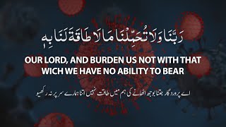 DUA FROM THE QURAN | 2:286 | QURAN | Islamic Stream