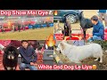 Dog show m white gsd dog pasand aagya all breeds k dogs or puppes miladog show