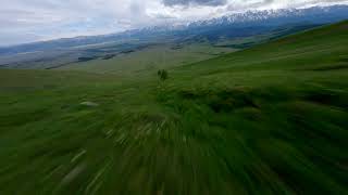 Алтай с FPV дрона | Cinematic video Altai