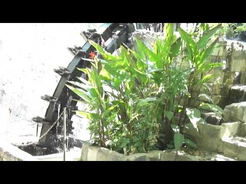 عنين الناعورة الحموية Sounds Of NORIA