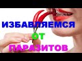 15 растений, которые убьют всех паразитов внутри вас.