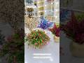 #flowers #trending #wedding #new #home #sale #homedecor #shorts #shortvideo #keşfet