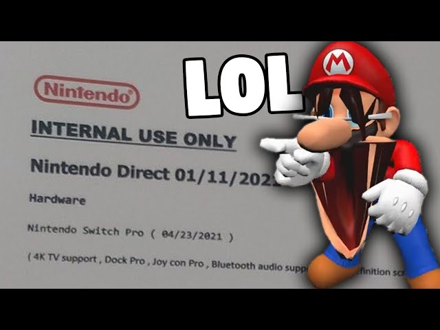 Nintendo Voice Chat on X: Just saw this Nintendo Direct leak on Reddit.  Looks legit. Get hyped!!!!  / X