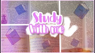 Study With me//Liza Andreeva
