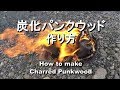 火花で火が着く炭化パンクウッドの作り方　Fire Making　Punk wood