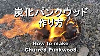 火花で火が着く炭化パンクウッドの作り方　Fire Making　Punk wood