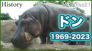 国内最高齢カバのドン53年生涯を終えるひと月前に見せた水浴〜札幌市円山動物園