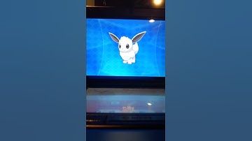 Female shiny 6IV Eevee with hidden ability Giveaway!