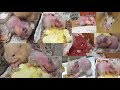 大きくなったスケルトンと一人っ子 母ちゃん子供を食べちゃダメだよ