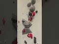 it's my birthday! watch the long video! #subscribe #climbing #rockclimbing #sportclimbing #birthday
