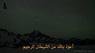 سورة الضحى القارئ هاني الخزعلي_ #حالات_واتس_اب_دينيه_عراقية 🎧