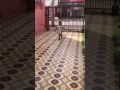 دا أنت تمسك الشيشة بقي