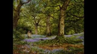 Video thumbnail of "Ralph Vaughan Williams - Fantasia on a Theme by Thomas Tallis"