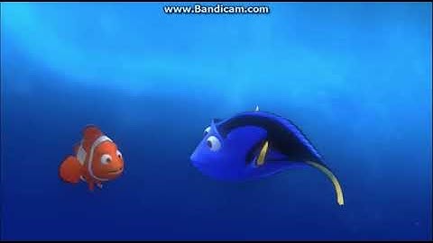 Finding Nemo East Australian Current Journey