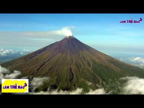 Video: Làm Thế Nào để Ngừng Hoạt động