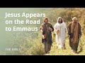 Luke 24 | Christ Appears on the Road to Emmaus | The Bible