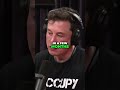 Unlocking Human Potential  The Neuralink AI Connection #JoeRogan #ElonMusk #Neuralink #AI  #jre