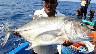 Catching Giant Trevally, Blacktip Trevally & Cobia Fish in the Deep Sea